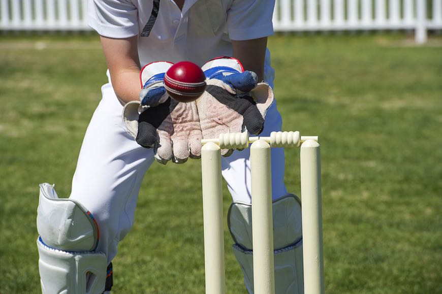 Cricket player catching ball